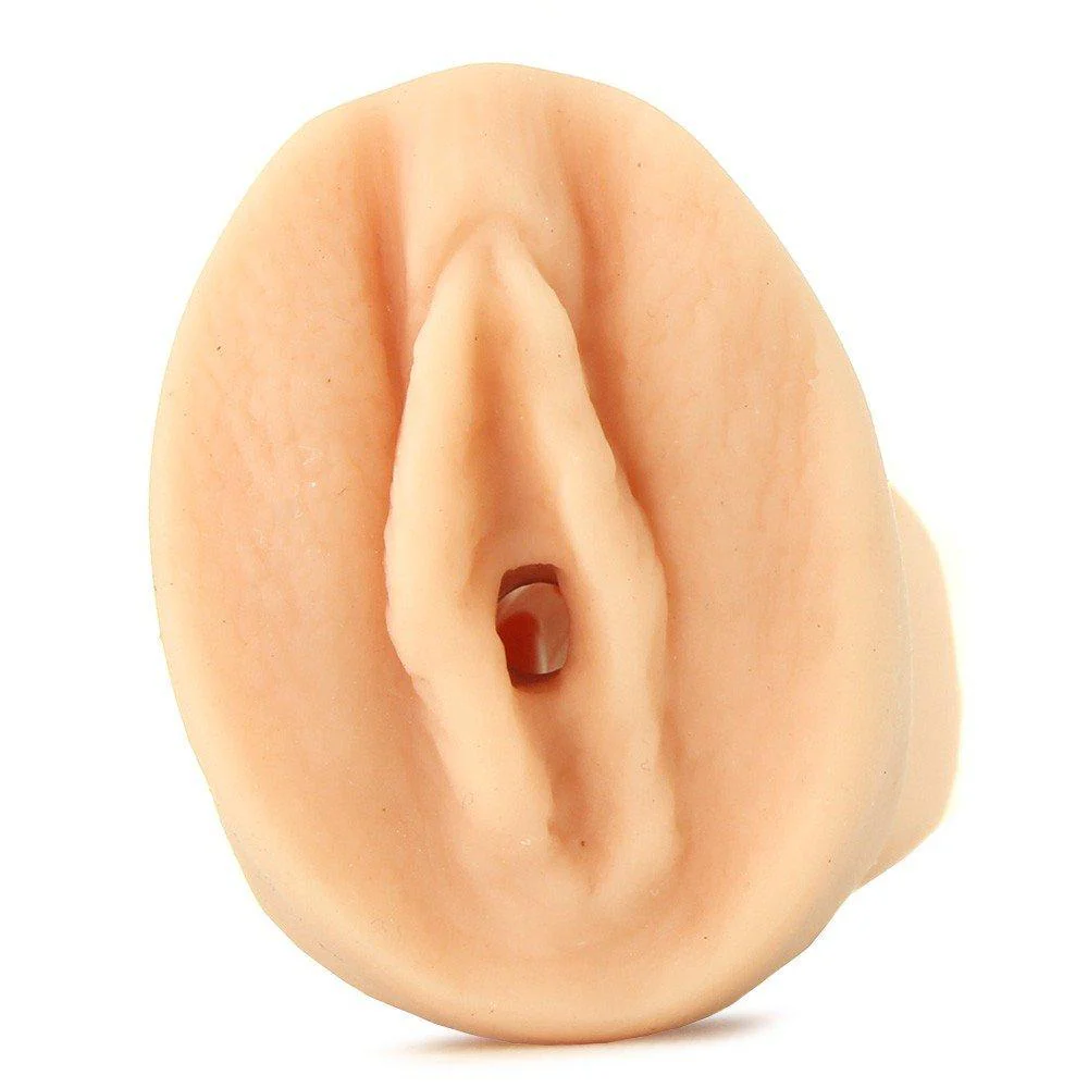 Palm Pal - Image 3